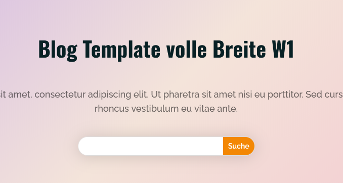 Blog Template ganze Breite 1